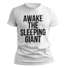 kaos awake the sleeping giant